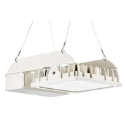 Pracht - Hallen - Reflektorleuchte LED - Strahler QUADRONIUS #86890121 4000K 40°
