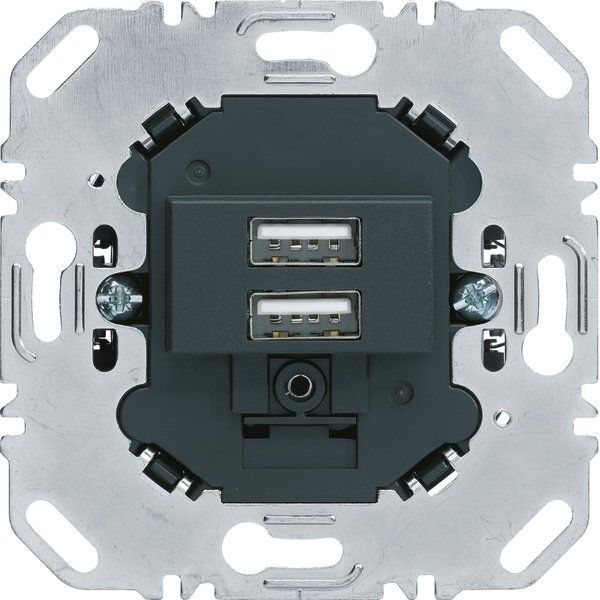 Berker - USB-Spannungsversorgung USB Ladesteckdose 230V 260205 2fach 3A anthrazit
