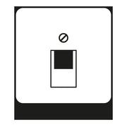 Jung - Einsatz/Abdeckung für Kommunikationstechnik Abdeckung aws CD 569-1 UA WW für IAE/UAE-Dose