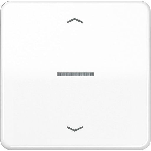 Jung - Abdeckung/Bedienelement für Installationsschalterprogramme Wippe Symbole/Lichtl.aws CD 590 KO5P WW für Taster