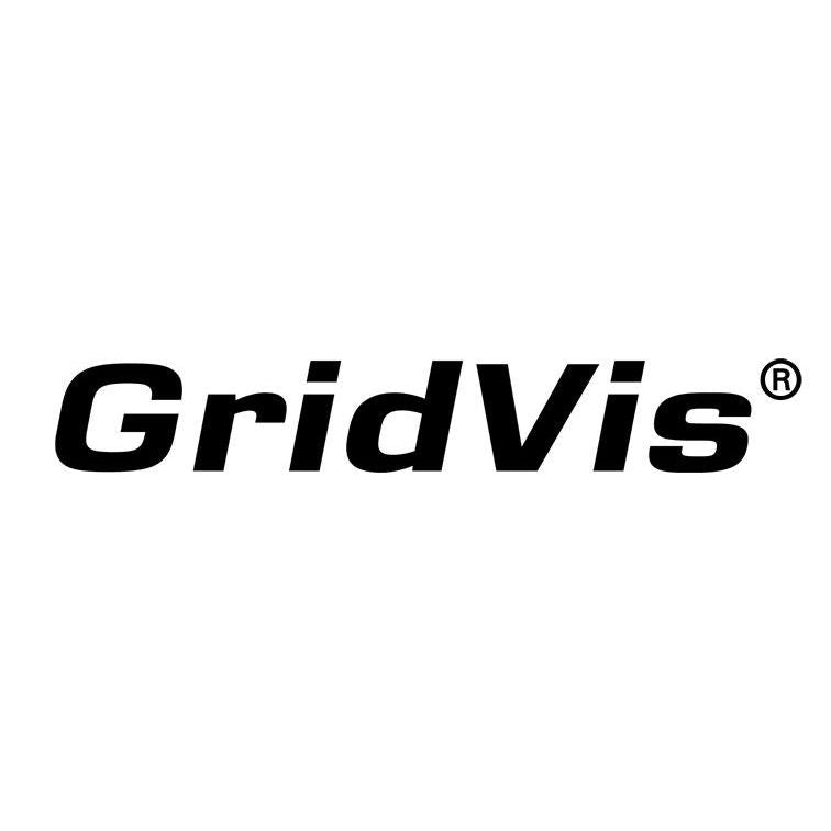 Janitza Electronic - Visualisierungs-Software GridVis -Edition Standard Upgrade Expert 100