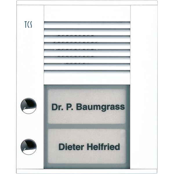 TCS Tür Control - Türstation für Türkommunikation Audioaußenstation1-reihig PDS02-WS/04 2 Tasten AP weiß