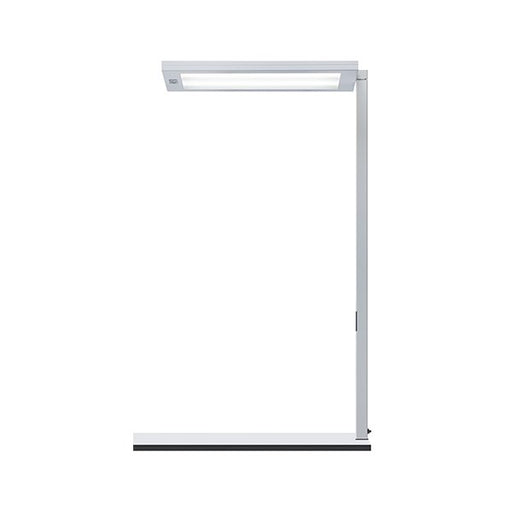 Waldmann Light - Tischleuchte LED-Tischleuchte 00804492 840