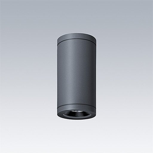 Thorn - Decken-/Wandleuchte LED-Anbauleuchte CESAR AMP #96701257 930, anthr.