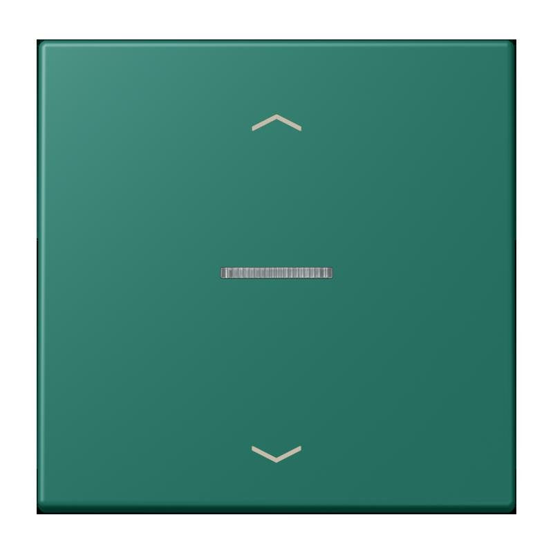 Jung - Abdeckung/Bedienelement für Installationsschalterprogramme Wippe mit Lichtleiter LC 101 KO5P 216 vert anglais