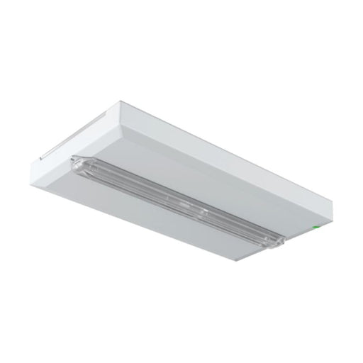 Ceag Notlichtsysteme - Sicherheitsleuchte Rettungszeichenleuchte FT2SE400ATL18 400lm AT L, 1-8H