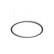Brumberg Leuchten - Pendelleuchte LED-Pendel-Ringleuchte 84010173 3000K, DALI-2