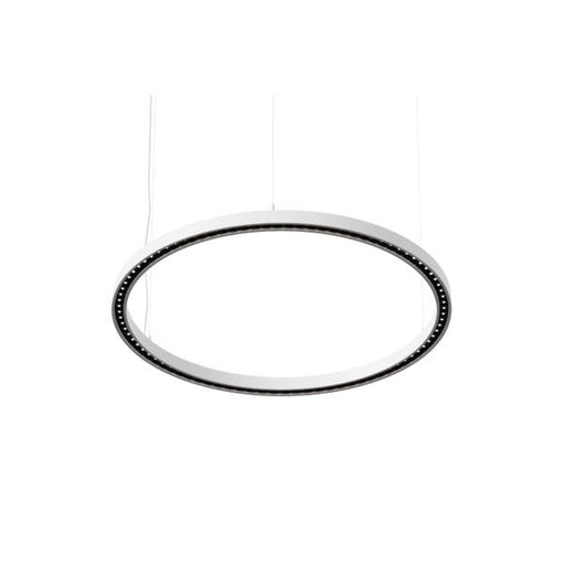 Brumberg Leuchten - Pendelleuchte LED-Pendel-Ringleuchte 84010173 3000K, DALI-2