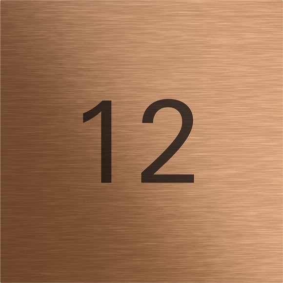 Gira - Funktionsmodul für Türkommunikation Info-Modul System 106 5560921 Bronze