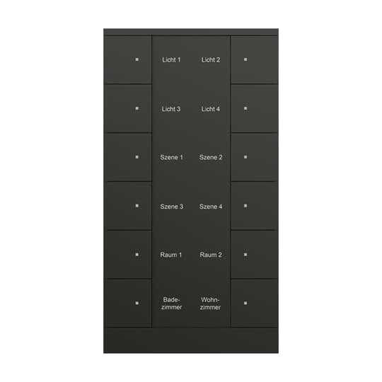 Busch-Jaeger - Bussystem-Tastsensor 12f. Bedienelement SB/U12.0.11-885 schwarz, matt