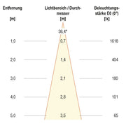 EVN Lichttechnik - Downlight/Strahler/Flutlicht LED Downlight schwenkbar P65081302 dimmbar, IP65