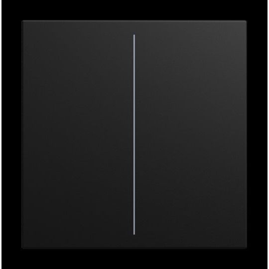 Busch-Jaeger - Bussystem-Tastwippe Abdeckung LFW/A.2.55.11-915 2-fach
