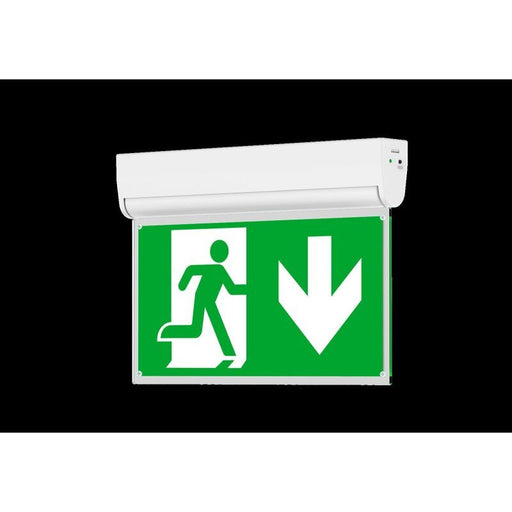 Dotlux - Sicherheitsleuchte LED-Rettungszeichenleuchte 5508-060360 6000K