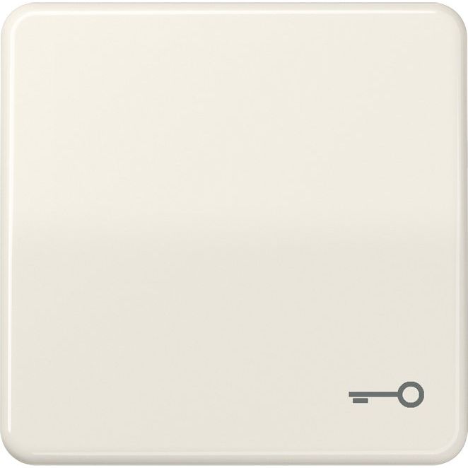 Jung - Abdeckung/Bedienelement für Installationsschalterprogramme Wippe Symbol TÜR ws CD 590 BFT für Taster