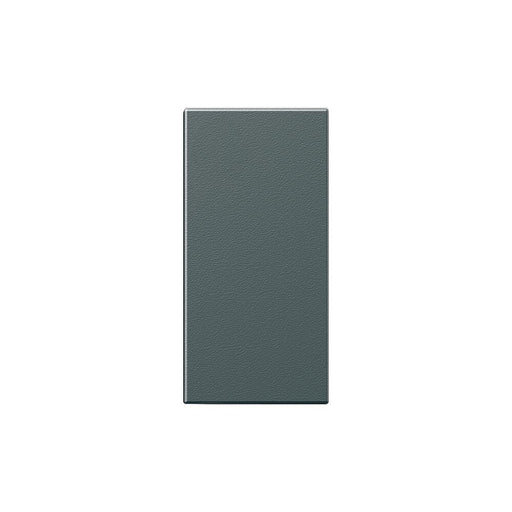 Siedle&Söhne - Zubehör/Ersatzteile für Türkommunikation Klingeltaste dgr-Glim 200029938-00 ohne Glockensymbol