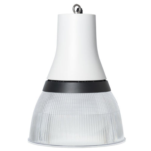 Dotlux - Pendelleuchte LED-Pendelleuchte 6247-099090 MC, ML