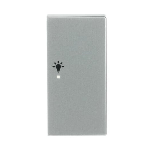 Busch-Jaeger - Bussystem-Tastwippe Wippe 2-f re, Symbol Licht 6231-22-83 alusilber