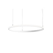 Brumberg Leuchten - Pendelleuchte LED-Pendel-Ringleuchte 84070174MT 4000K, Matter
