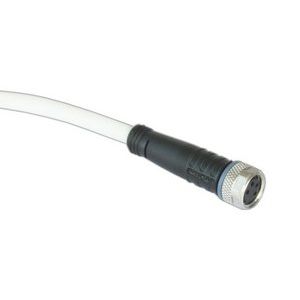 Barthelme - Elektrisches Zubehör/Ersatzteile für Leuchten Anschlusskabel M8-Kupplung 66313410 4-polig 10m