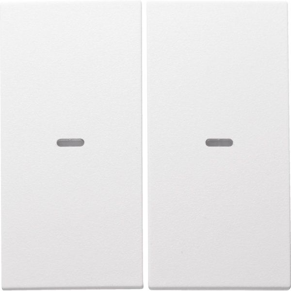 Berker - Abdeckung/Bedienelement für Installationsschalterprogramme Tast-Abdeckung 2f. pws/mt 80960399