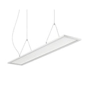Brumberg Leuchten - Pendelleuchte LED Pendelleuchte 49230073 3000/4000K