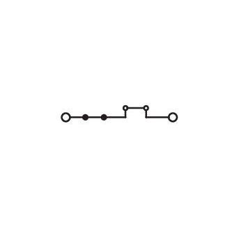 WAGO - Durchgangs-Reihenklemme 2-Leiter-Durchgangsklemme 2006-8604 6mm² − 12 Stück