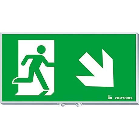 Zumtobel Group - Piktogramm für Not-/Hinweisleuchte Rettungszeichen PURESIGN150#22900415 AW/EW RZ-1RU ERI