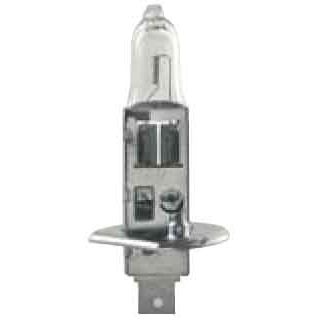 Sirena - Anzeige- und Signallampe Leuchtmittel LRH55W12 12V AC/DC