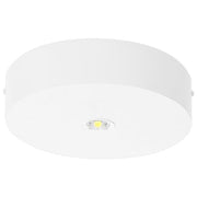 Fischer - Sicherheitsleuchte LED-Sicherheitsleuchte BRDE29I.V2
