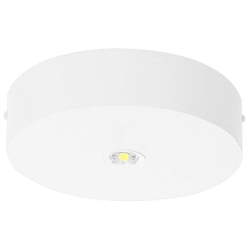 Fischer - Sicherheitsleuchte LED-Sicherheitsleuchte BRDE29I.V2