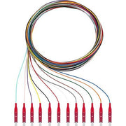 Rutenbeck - LWL-Pigtail Pigtails 12xLC OM4 2m OM4, 2m
