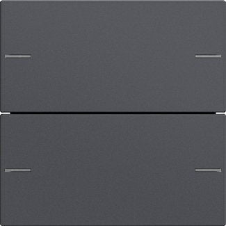 Gira - Bussystem-Tastwippe Wippenset 2-fach 575228 Tastsensor Anthrazit
