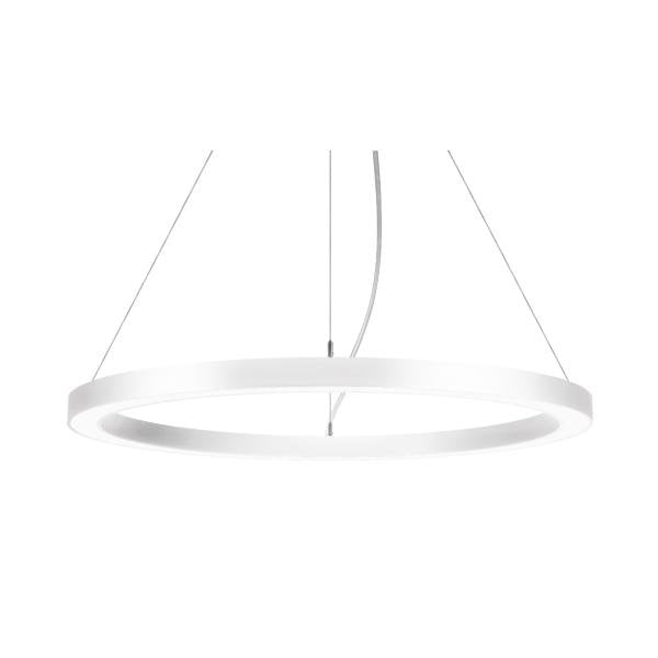 Brumberg Leuchten - Pendelleuchte LED-Pendel-Ringleuchte 13931174 DALI DT6 D75cm H35mm