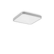 RZB - Decken-/Wandleuchte LED-Wand-u. Deckenleuchte 312436.004.76 830, DALI, si