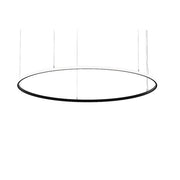 Brumberg Leuchten - Pendelleuchte LED-Pendel-Ringleuchte 84074183 3000K, DALI-2