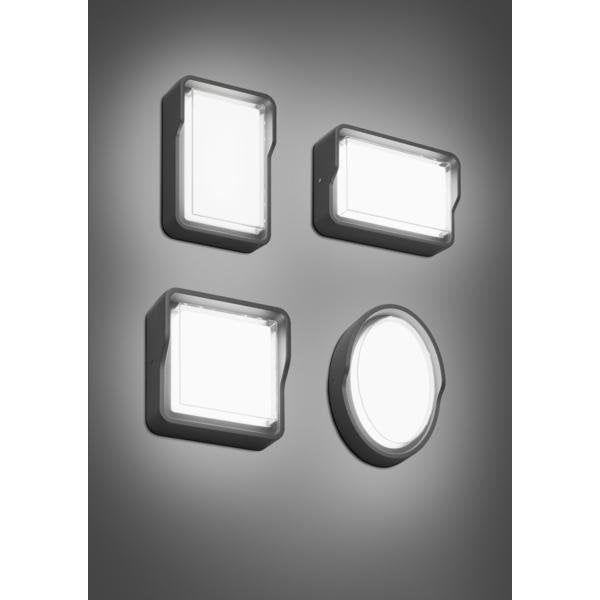 Brumberg Leuchten - Decken-/Wandleuchte LED-Wandleuchte 10223103 3000K, graphit