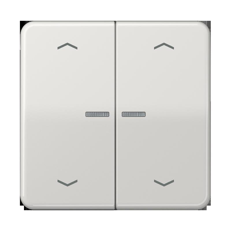 Jung - Bedienelement intelligent Taster 2fach BT CD 17102 P LG JUNG HOME