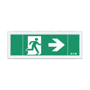 Ceag Notlichtsysteme - Sicherheitsleuchte LED-Rettungszeichenleuchte FT1EW4ICGL18IP 1-8h, Piktos, Wand