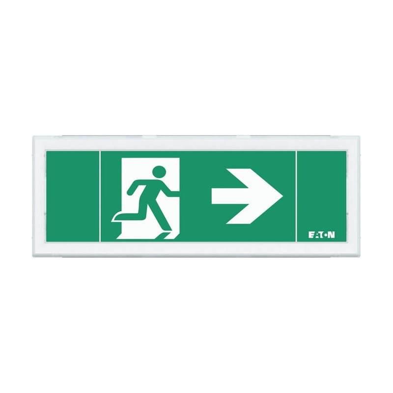 Ceag Notlichtsysteme - Sicherheitsleuchte LED-Rettungszeichenleuchte FT1EW4ICGL18IP 1-8h, Piktos, Wand