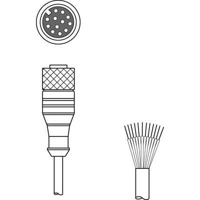 Leuze - Konfektioniertes Sensor-Aktor-Kabel Anschlussleitung KD S-M12-CA-P1-100