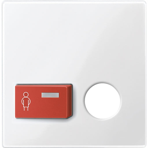 Merten - Zentralelement Klinikinstallation Zentralplatte pws/gl 450619 für Ruftaster