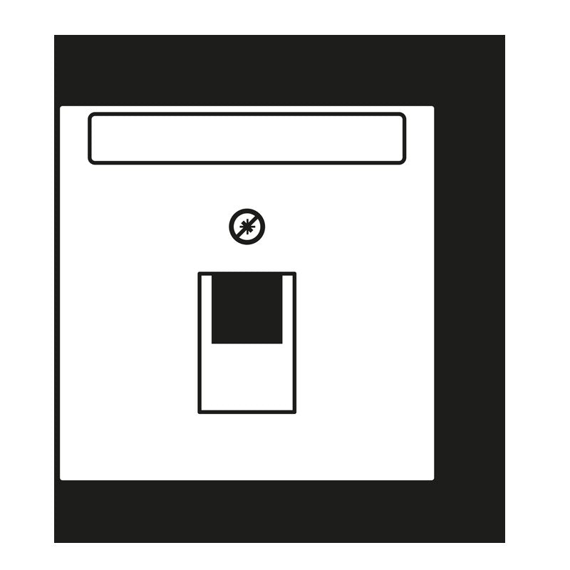 Jung - Einsatz/Abdeckung für Kommunikationstechnik Abdeckung für IAE/UAE LC 969-1 NAUA 202