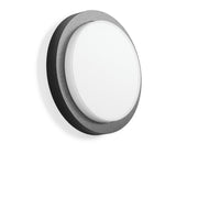 RZB - Decken-/Wandleuchte LED-Wand u.Deckenleuchte 582110.0031 830/840, ML, anthr