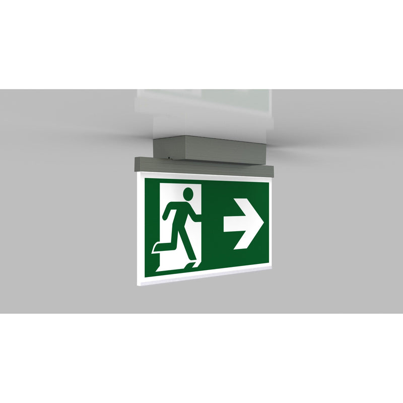 RP-Technik - Sicherheitsleuchte LED-Rettungszeichenleuchte AGD009ML-E ZB + ML