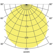 Brumberg Leuchten - Pendelleuchte LED-Pendel-Flächenleuchte 13613173 direkt 3000K