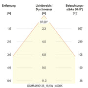EVN Lichttechnik - Decken-/Wandleuchte LED-Deckenleuchte DSM54190125 ML, MC