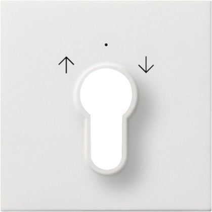 Gira - Abdeckung/Bedienelement für Installationsschalterprogramme Zentralplatte rws-gl 0664112 f.Schlüsselschalter