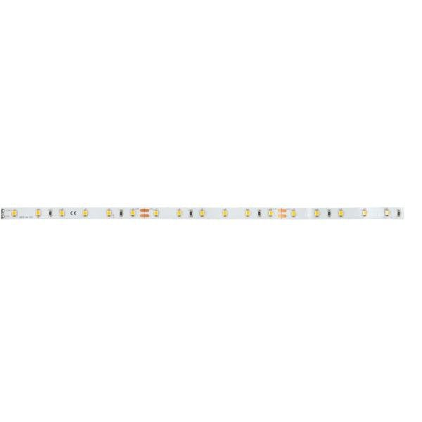Brumberg Leuchten - Lichtschlauch/-band LED-Flexband 24V 38201027 2700K IP00 5m