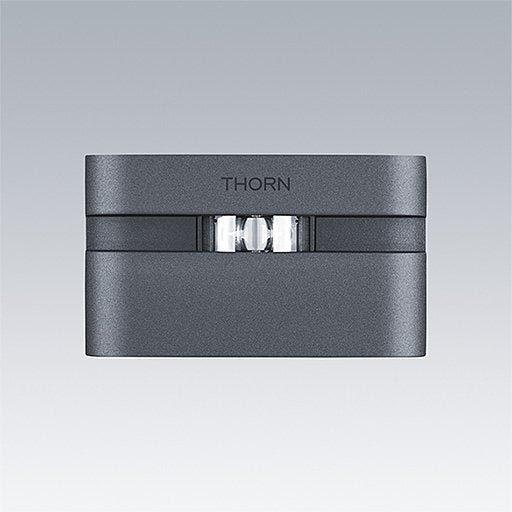 Thorn - Decken - /Wandleuchte LED - Wandleuchte AXYL ETCH  #96701619 830, anthr.