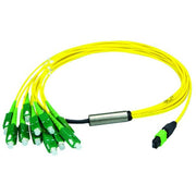 Telegärtner - Patchkabel LWL MPO/MTP Aufteilkabel gb 3m 100011007 MPO APC OS2 12LC SM